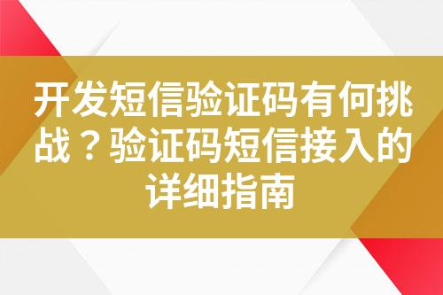 開發(fā)短信驗證碼有何挑戰(zhàn)？驗證碼短信接入的詳細(xì)指南