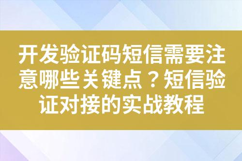 開(kāi)發(fā)驗(yàn)證碼短信需要注意哪些關(guān)鍵點(diǎn)？短信驗(yàn)證對(duì)接的實(shí)戰(zhàn)教程