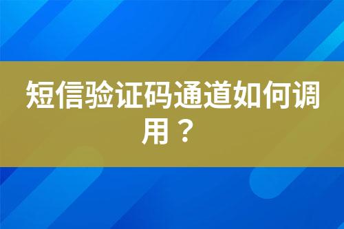 短信驗證碼通道如何調(diào)用？